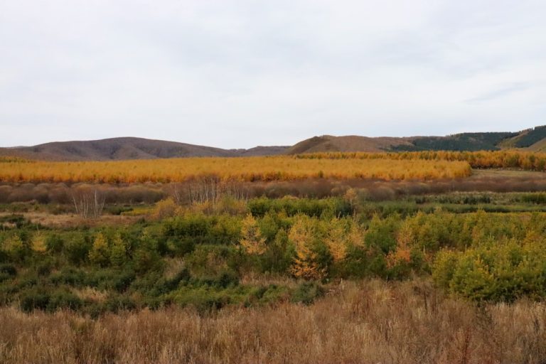 Unconventional Ways to Experience the Great Outdoors